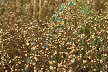 Similar image 21058386