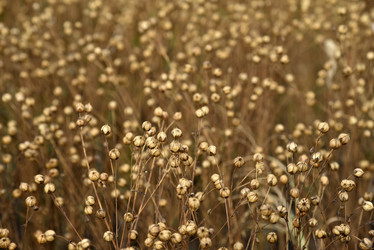 Similar image 21058387