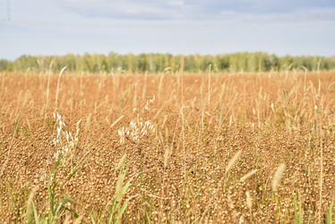 Similar image 21058390