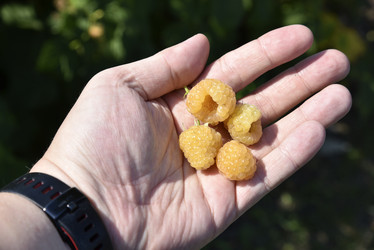 Similar image 21058391