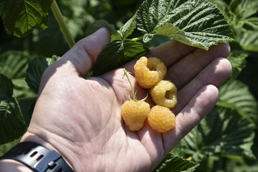 Similar image 21058392