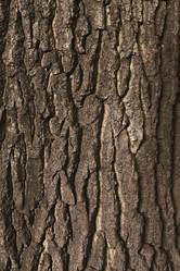 Similar image 21058225