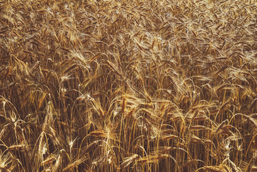 Similar image 21058235