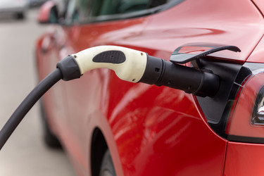 Similar image 21073919