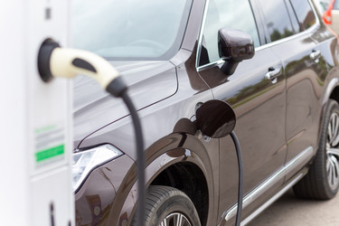 Similar image 21073924