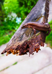 Similar image 21059314