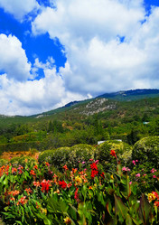 Similar image 21059315