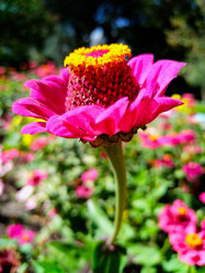 Similar image 21059316