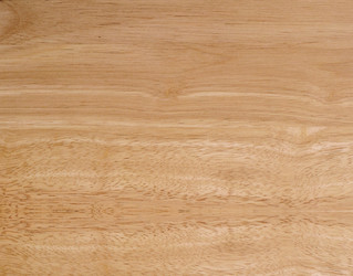 Similar image 21058399