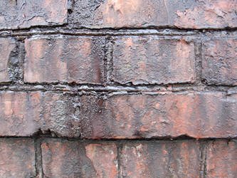 Similar image 21058402