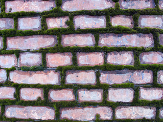 Similar image 21058403