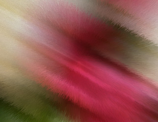 Similar image 21058469