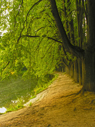 Similar image 21058474