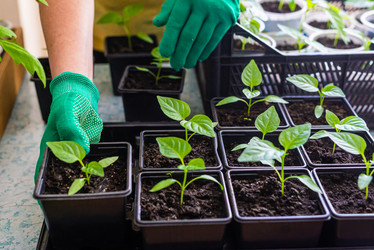 Similar image 21058238