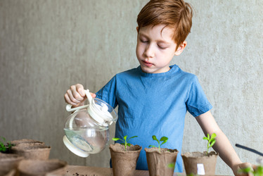 Similar image 21058241