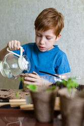 Similar image 21058244