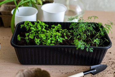 Similar image 21058247