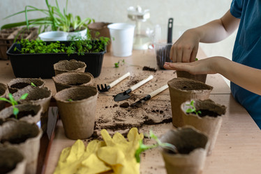 Similar image 21058248