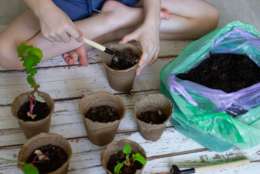 Similar image 21058251