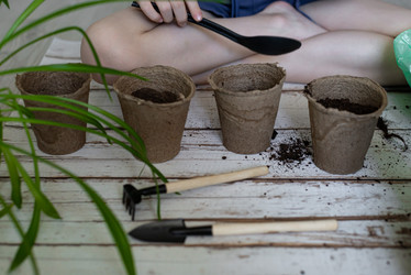 Similar image 21058252