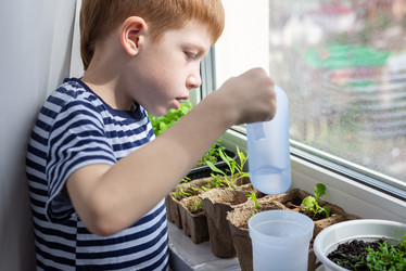 Similar image 21058259