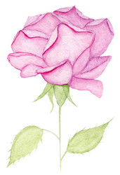 Similar image 21058365