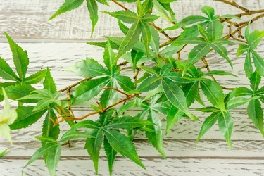 Similar image 21063434