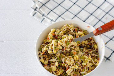 Similar image 21063464