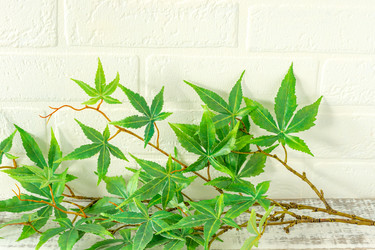 Similar image 21063475