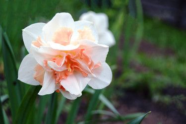 Similar image 21058341