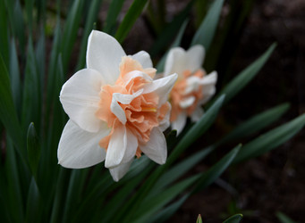 Similar image 21058342