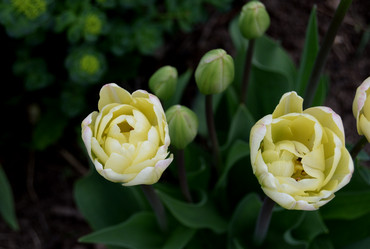 Similar image 21058343