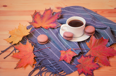 Similar image 21058328