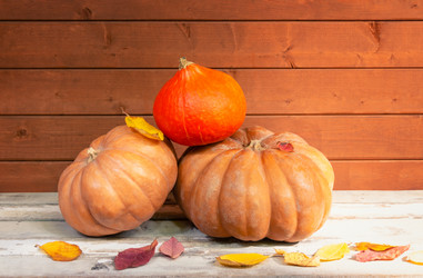 Similar image 21058332