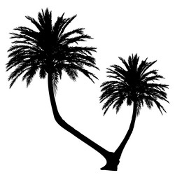 Similar image 21066832