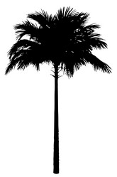 Similar image 21066849