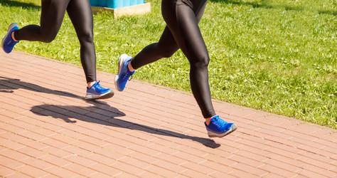 Similar image 21067690