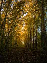 Similar image 21059380