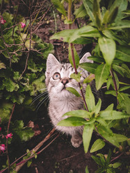 Similar image 21059382