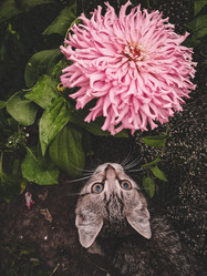 Similar image 21059383