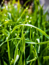 Similar image 21059384