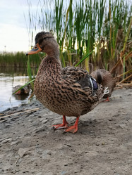 Similar image 21059385