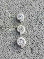 Similar image 21059392