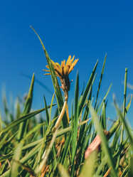 Similar image 21059394