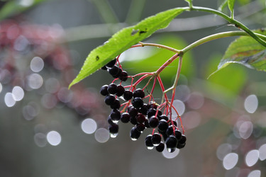 Similar image 21059327