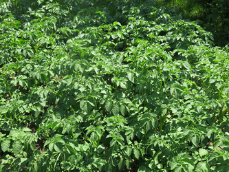 Similar image 21059328