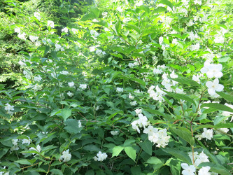 Similar image 21059329