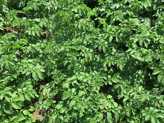 Similar image 21059330