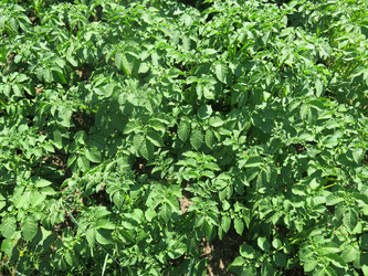 Similar image 21059331