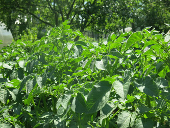 Similar image 21059332